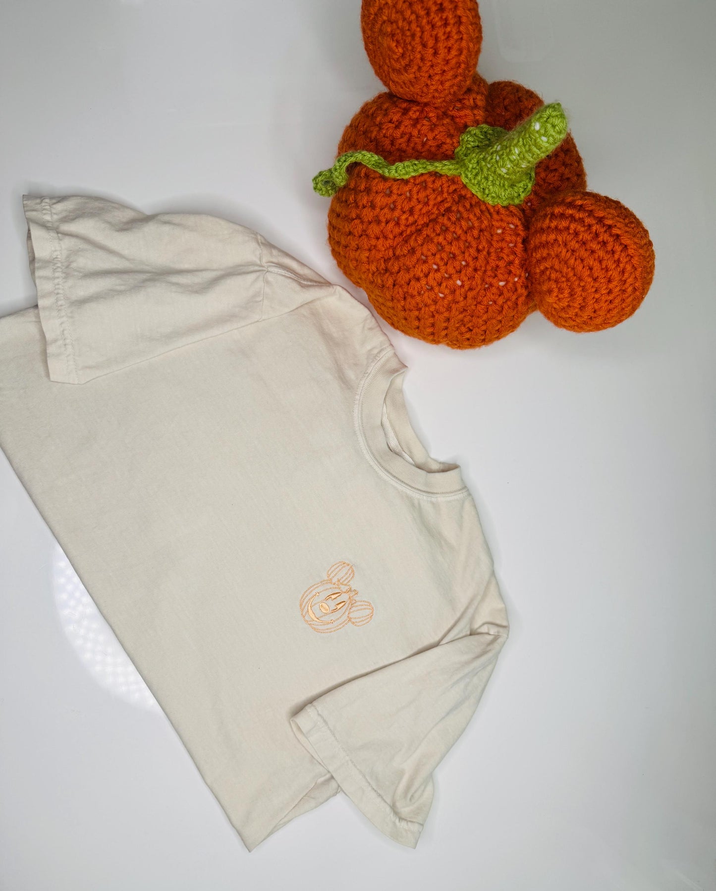 Magical Disney inspired Pumpkin Embroidered Halloween T-shirt: Disney inspired Lightweight Lounge Wear