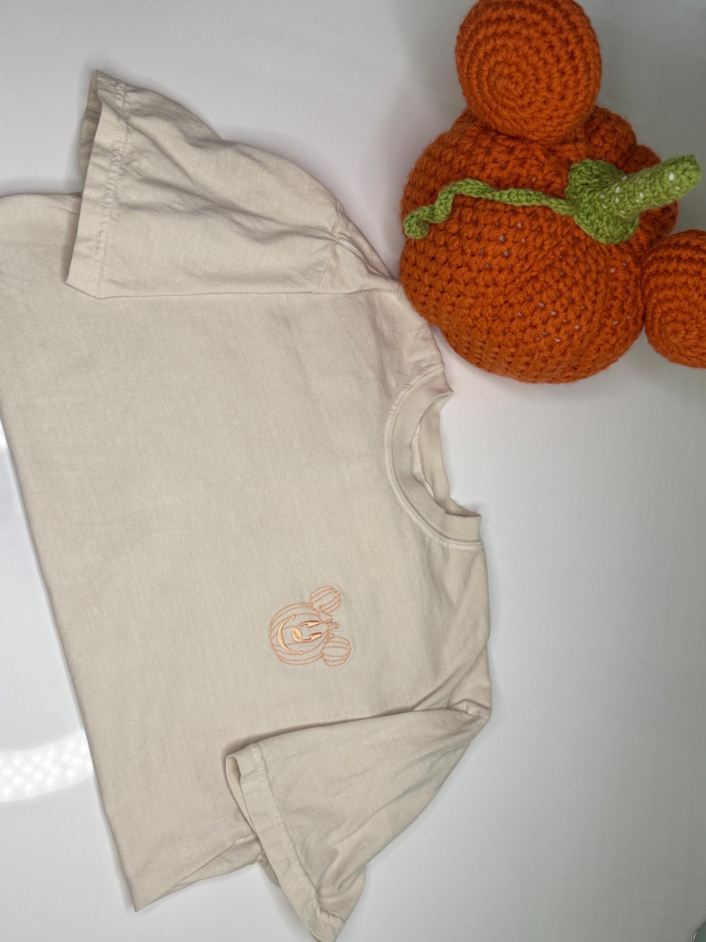 Magical Disney inspired Pumpkin  Embroidered Halloween T-shirt: Disney inspired Lightweight Lounge Wear